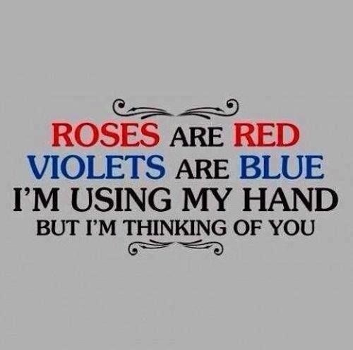 Kisses Sex Want Violets Really Roses Are Blue Red