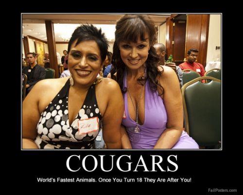 Free Cougar Dating Sites In South Africa